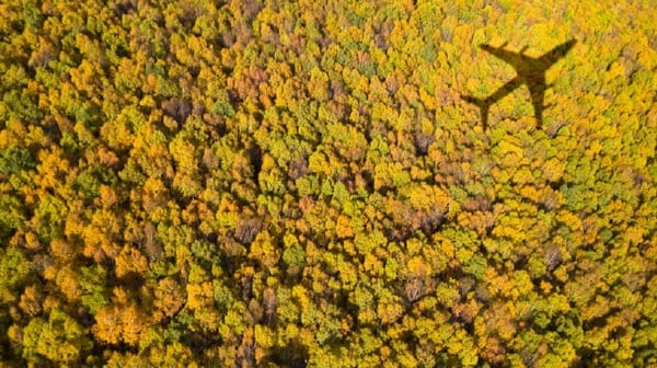 Shadow of aircraft over forest