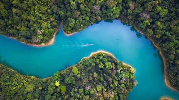 Aerial view of meandering river