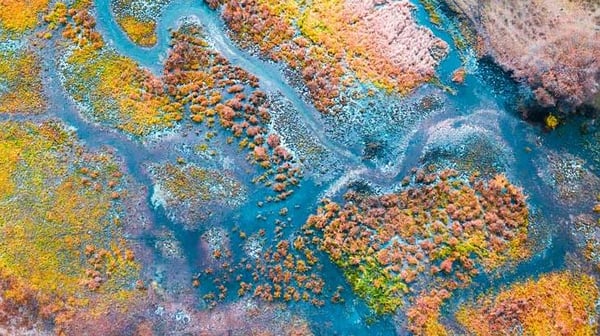 Colourful river delta